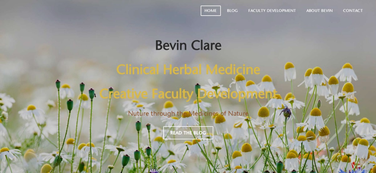 Teacher Feature: Bevin Clare | Herbal Academy | This month's teacher feature is an interview with herbalist Bevin Clare where she shares her love for herbs, teaching, and her future plans with us.