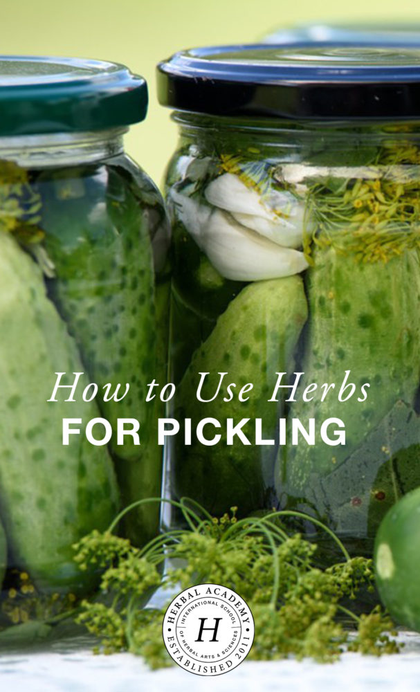 Herbs For Pickling