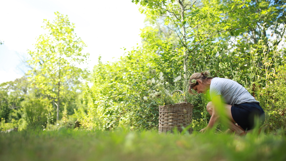 Teacher Feature: Marlene Adelmann | Herbal Academy | Come meet herbalist and Herbal Academy founder, Marlene Adelmann, and learn about her herbal journey and where it has taken her and the Herbal Academy!