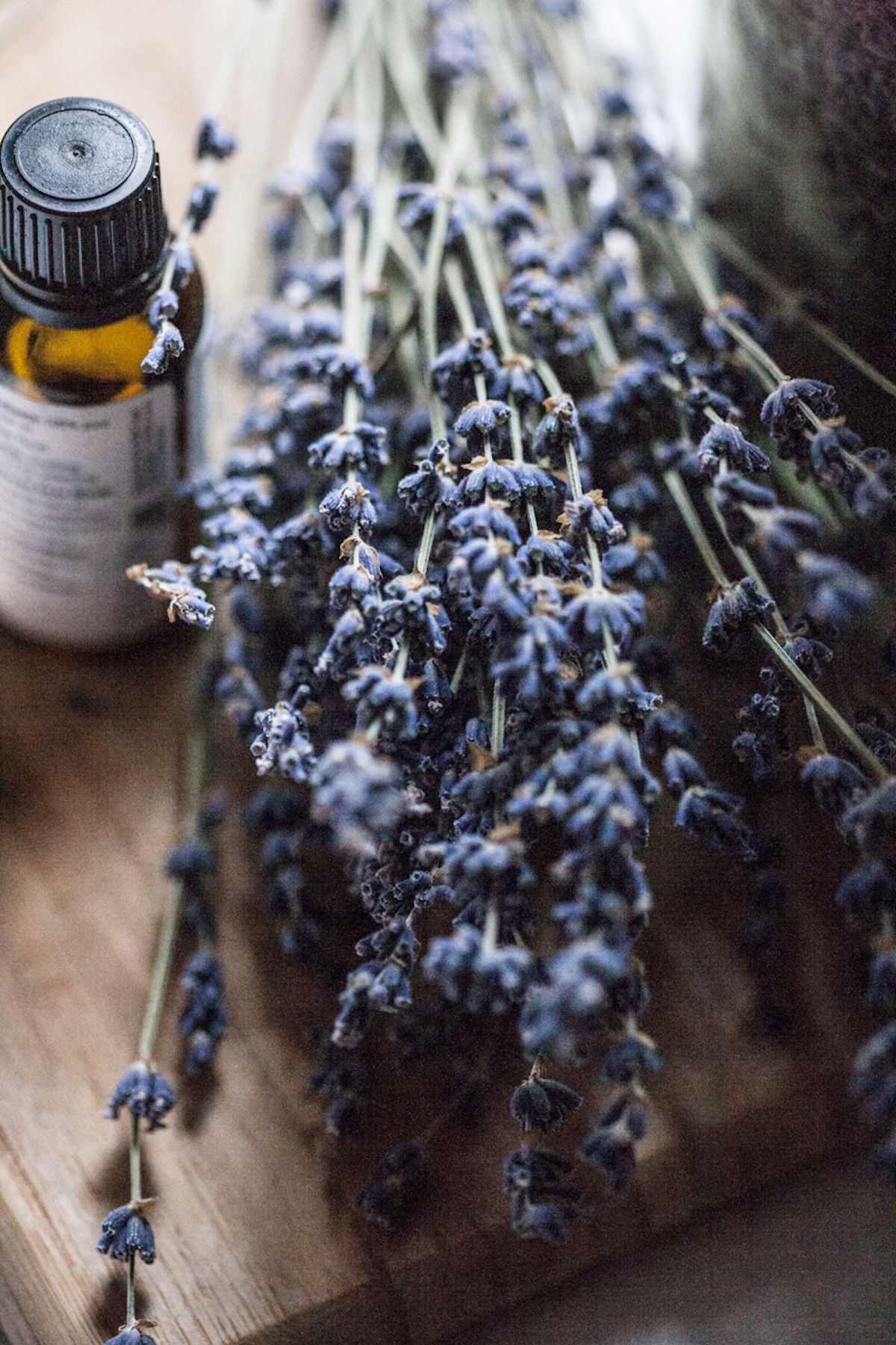 Lavender Essential Oil: A Must-Have For Every Natural Medicine Chest | Herbal Academy | Learn all about lavender essential oil and how to use it safely in your home and for your family's health.
