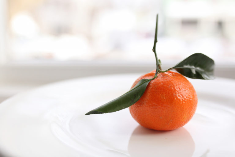 Approaching Inflammation and Chronic Pain Through Diet and Herbs