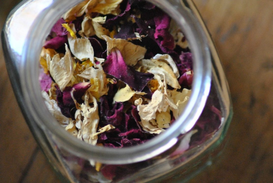 3 Balancing Herbal Recipes for Bodies in Pain | Herbal Academy | Herbs are a time-honored way to comfort and balance bodies challenged by pain. Here are 3 balancing herbal recipes for bodies in pain.