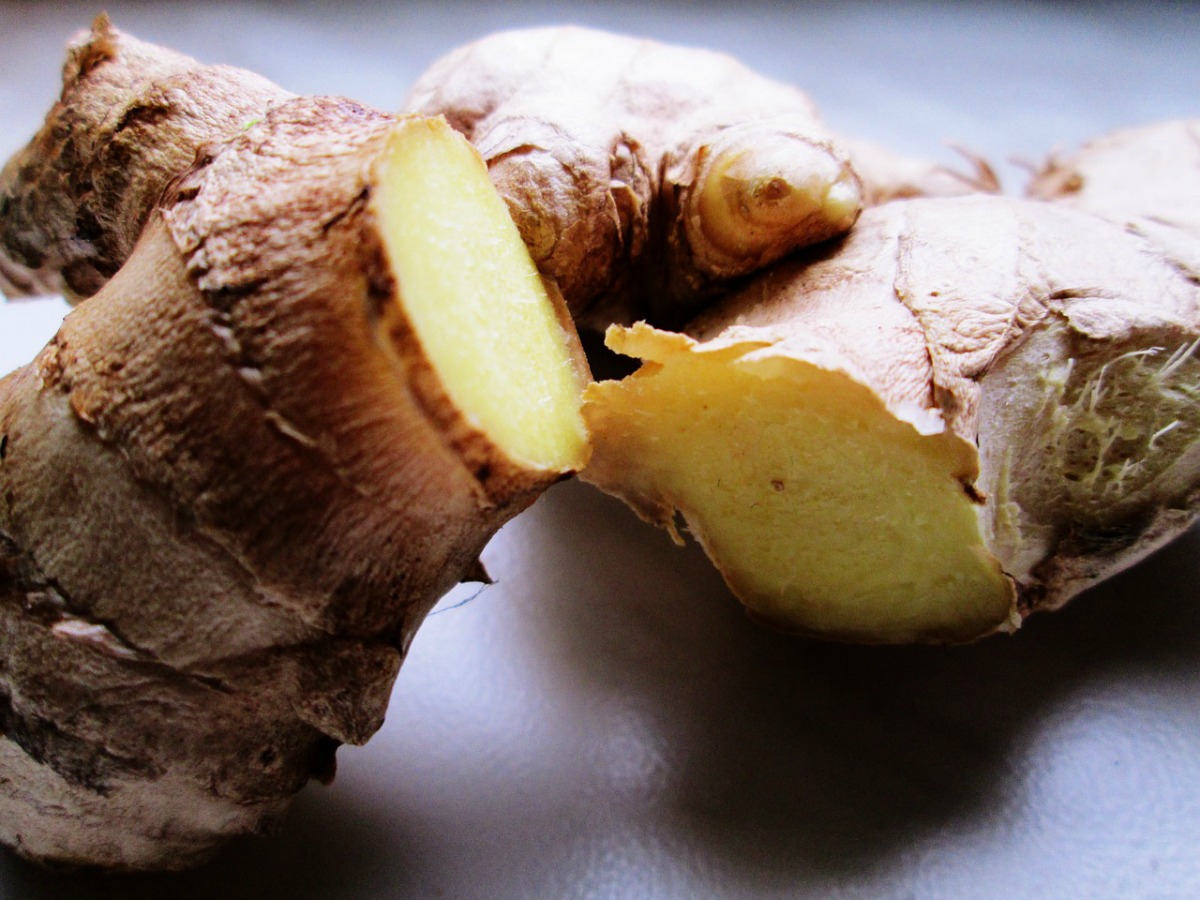 ginger rhizome