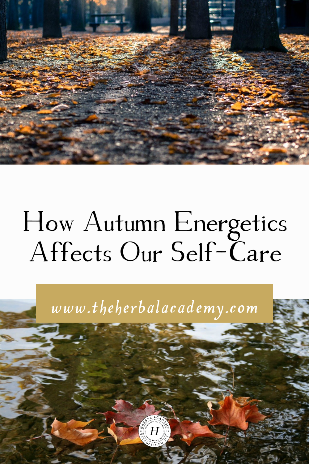 As summer fades into autumn, let's look to autumn energetics to maintain balance and self-care for our bodies during this beautiful season.