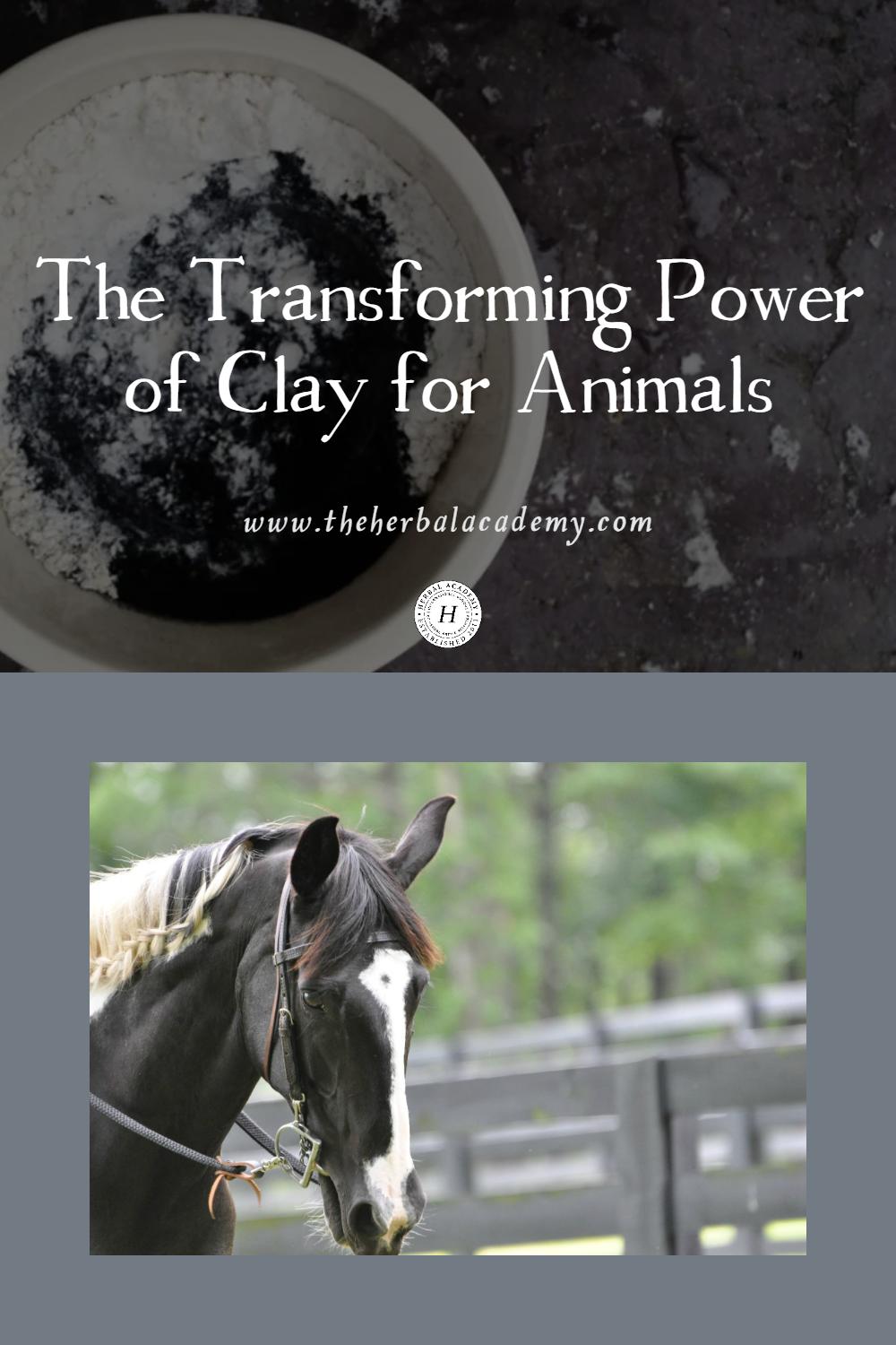 Learn about the healing power of clay for animals and how to use it for hot, itchy skin or on insect bites, stings, and wounds.