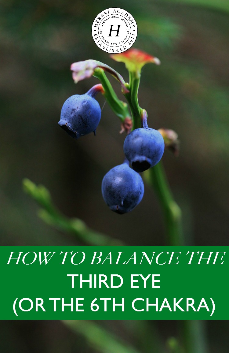 Tips on Balancing the 6th Chakra or the Third Eye | Herbal Academy | Learn what the third eye chakra is and tips on how to balance it with herbs and nature.