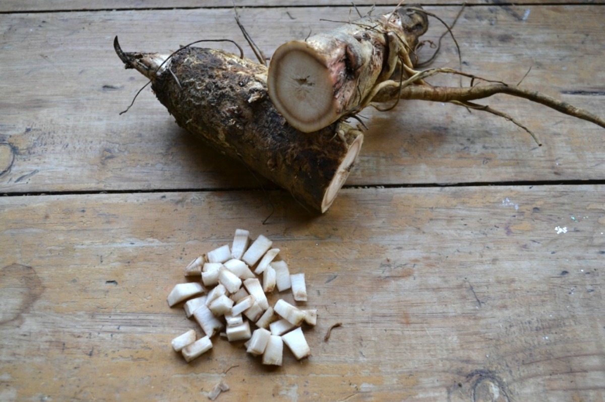 Creating a Local Materia Medica with Burdock | Herbal Academy | Learn how you can use burdock for food and medicine as part of your local materia media.