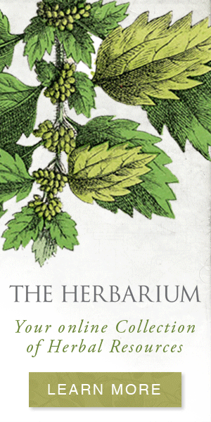 The Herbarium - collection of herbal resources