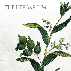 The Herbarium Membership for Herbalists