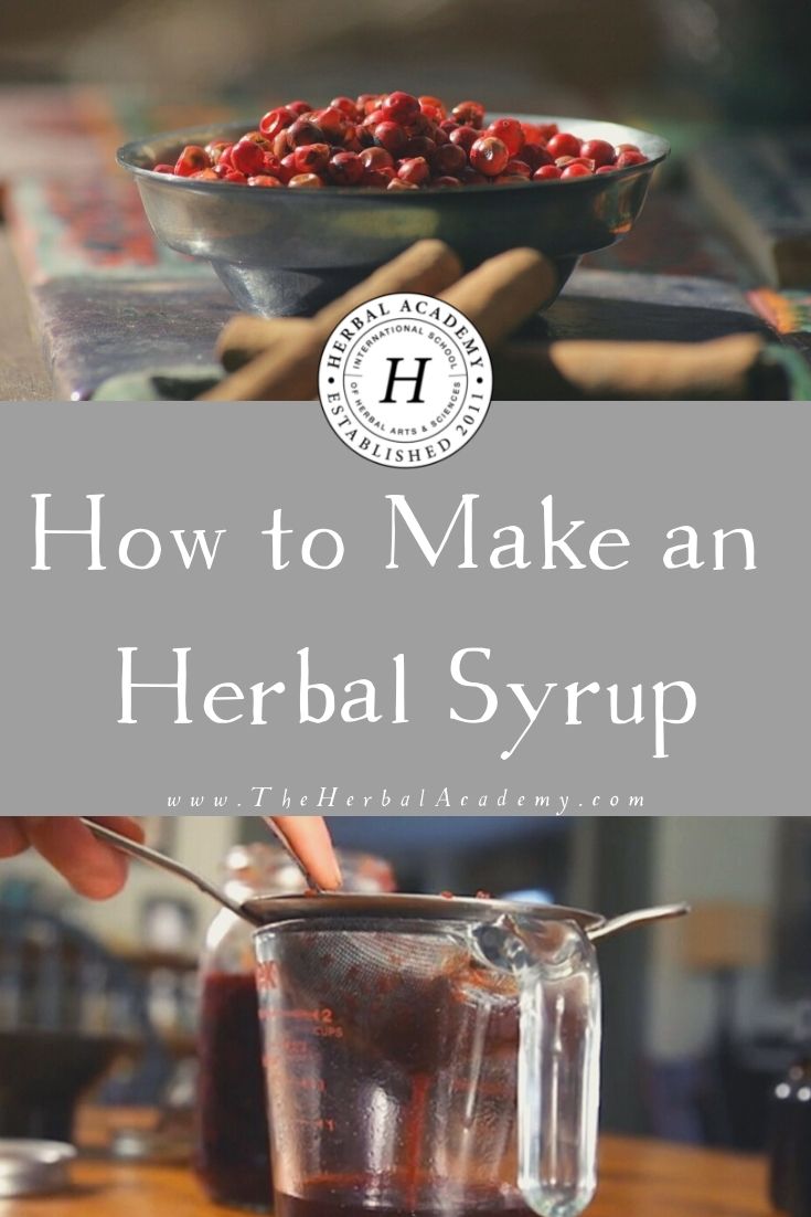 How To Make An Herbal Syrup | Herbal Academy | Enjoy learning the basics of how to make an herbal syrup and then let your intuition guide you to creating your own tasty blends!