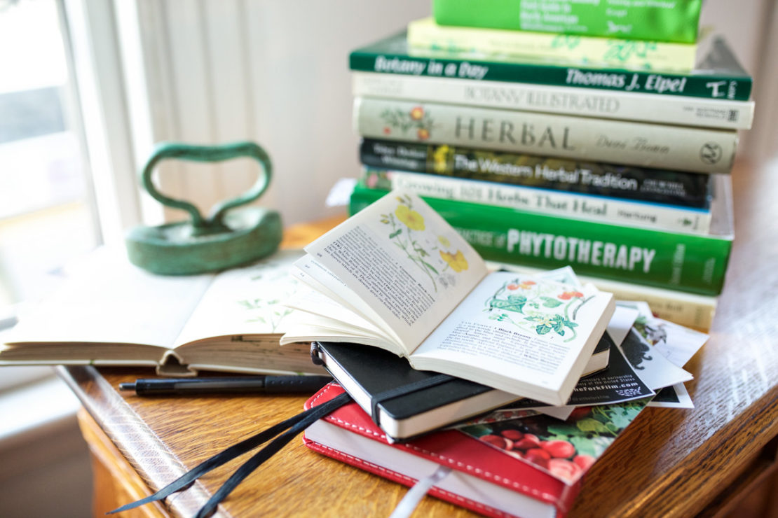 Gathering Supplies for your Herbal Materia Medica | Herbal Academy | Learn what supplies you should have on hand when creating your herbal materia medica right here!
