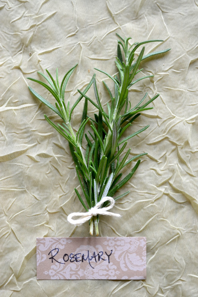 How to Make Your Own Fresh Rosemary Wreath | The Herbal Academy | Learn to make your own DIY fresh rosemary wreath for the holidays!