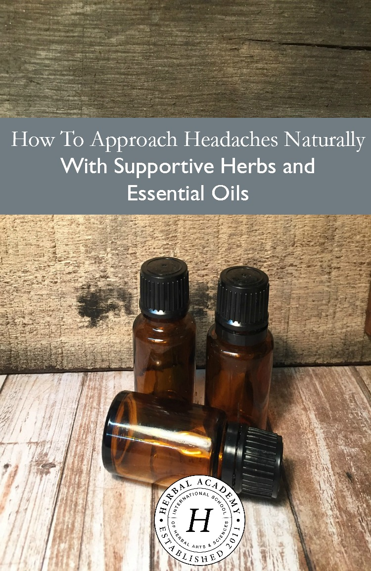 How To Approach Headaches Naturally With Supportive Herbs And Essential Oils | Herbal Academy | Do you suffer from the pain of headaches? Approach headaches naturally by easing or eliminating them using these herbs, essential oils, and hydrolats!
