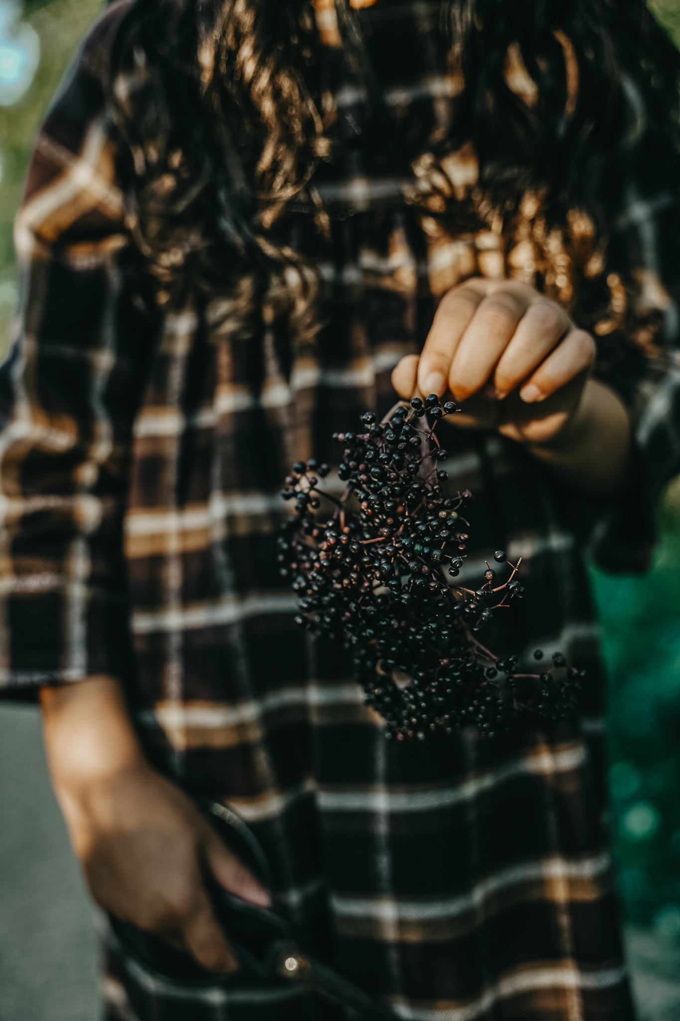 woman holding a stem of elderberries