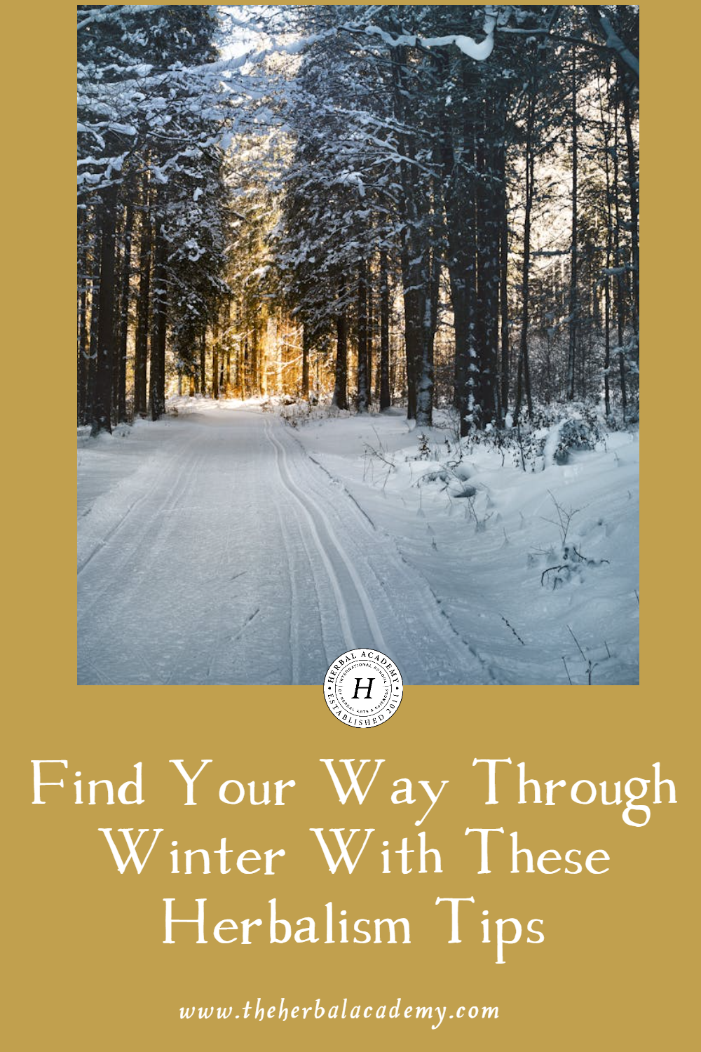 While wintertime may feature an abundance of physical darkness, it doesn’t have to be a source of emotional darkness as well. While wintertime may feature an abundance of physical darkness, it doesn’t have to be a source of emotional darkness as well.
