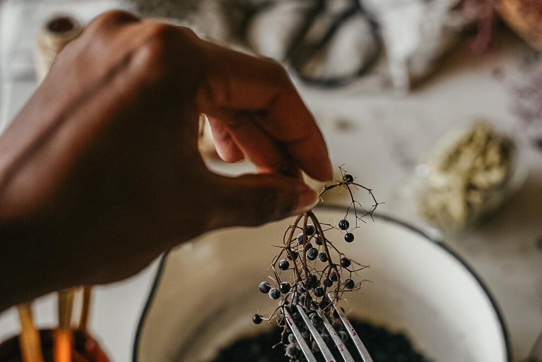 How To Make Immune Stimulating Elderberry Syrup | Herbal Academy | We are being invaded by the cold and flu! This Immune Stimulating Elderberry Syrup is just the remedy you need. Take it at the first sign!