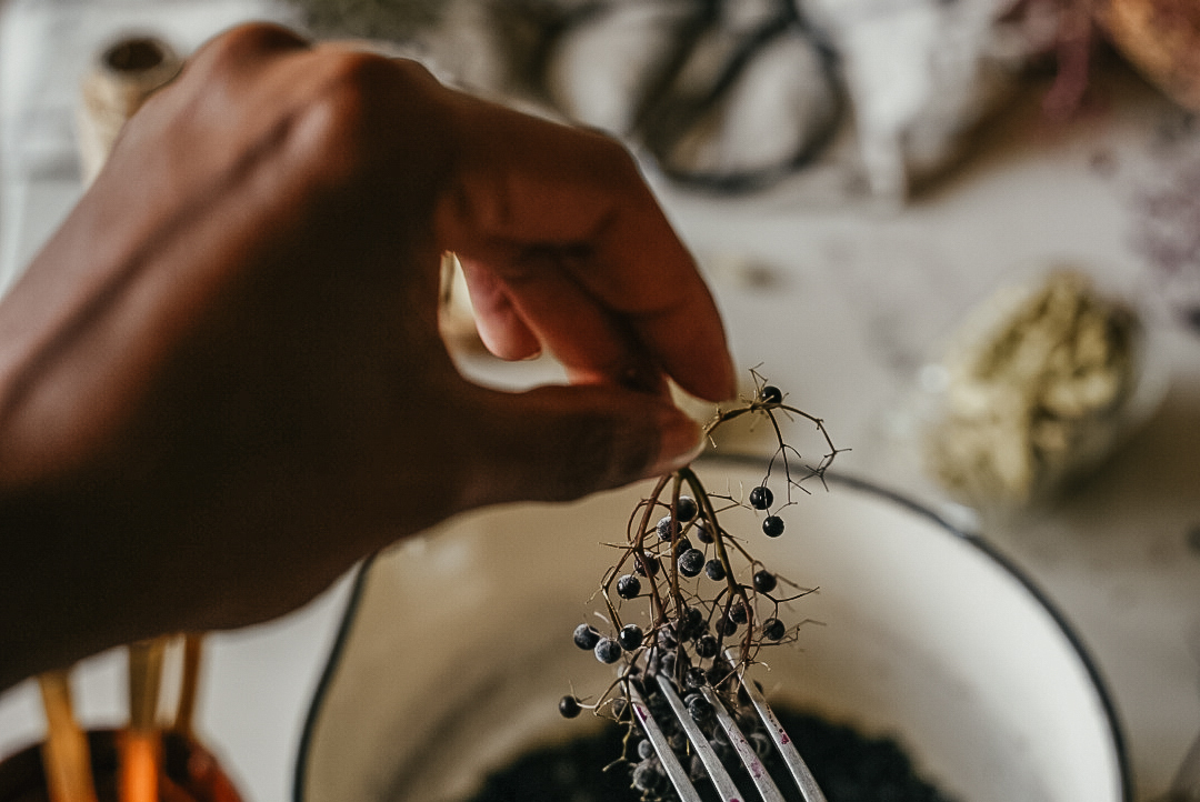 removing elderberries from stem with a fork