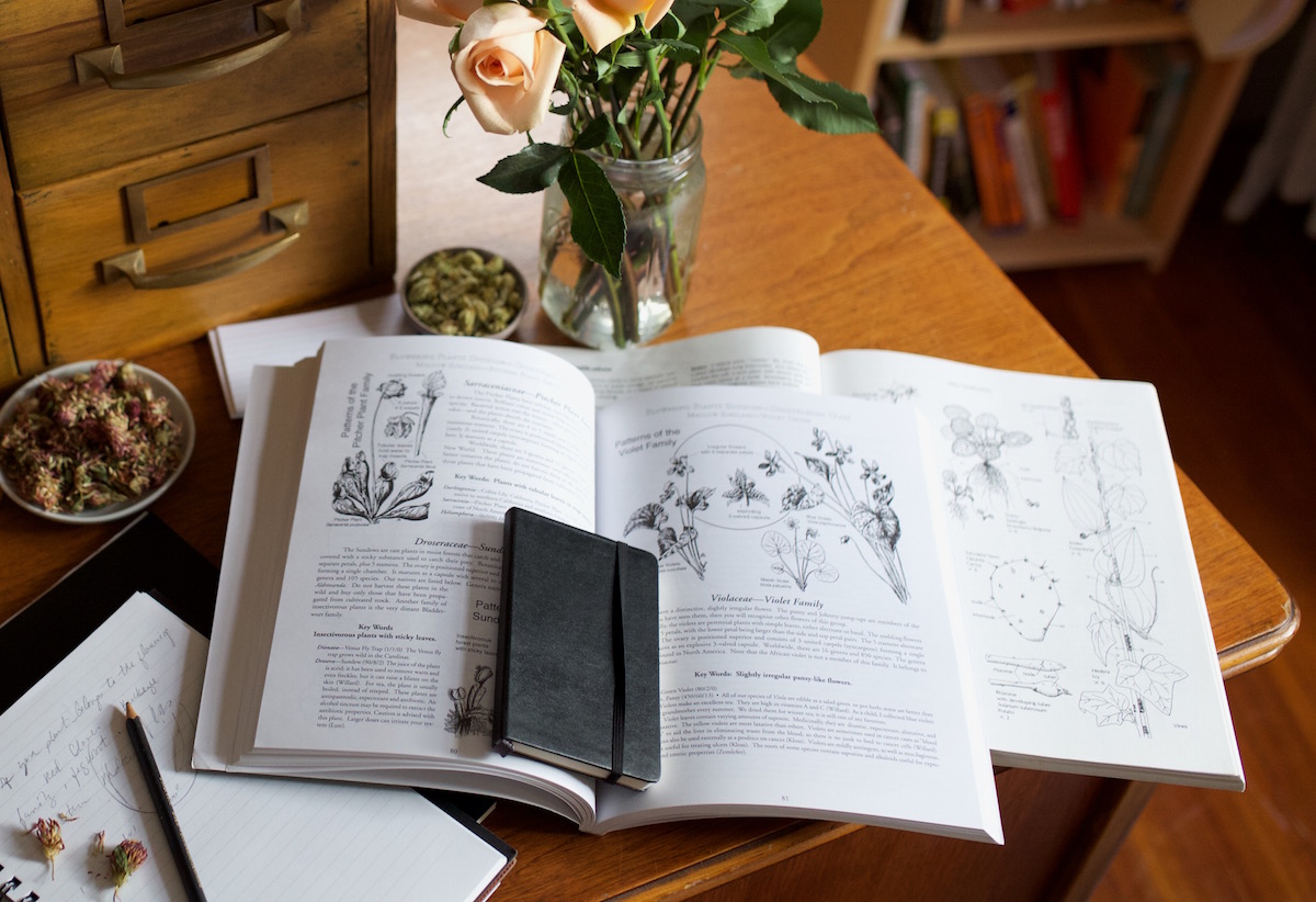 Summer: The Perfect Time To Work On Your Herbal Studies | Herbal Academy | Summer school is in session. Learn how you can grow your herbal knowledge in an easy way over the summer.