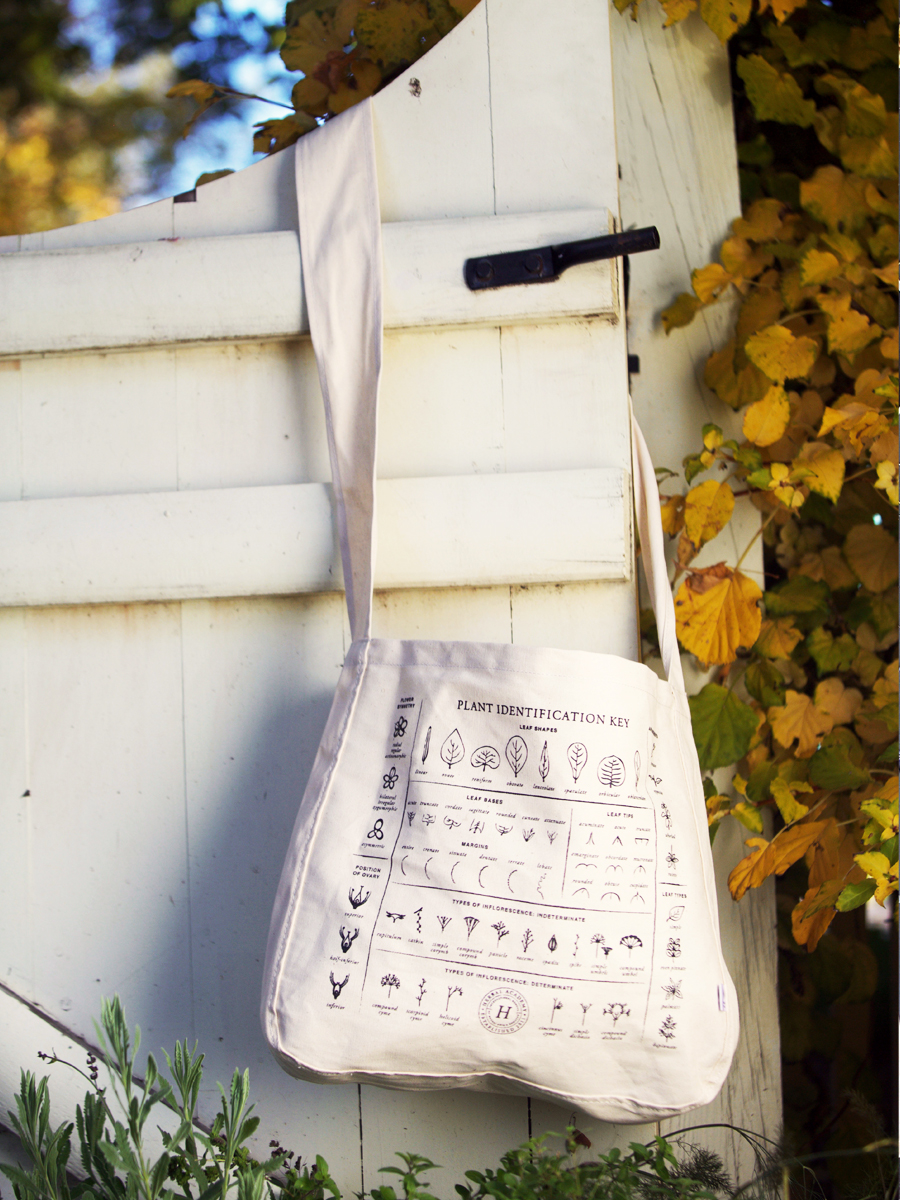 The Plant identification key tote bag by Herbal Academy