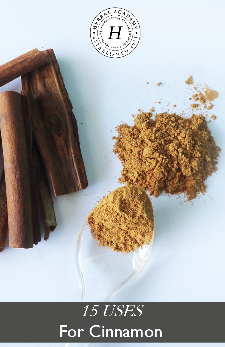 15 Uses for Cinnamon | Herbal Academy | With its much loved flavor and aroma, the uses of cinnamon go far beyond the kitchen! Here are 15 uses for cinnamon in the kitchen as well as for good health!