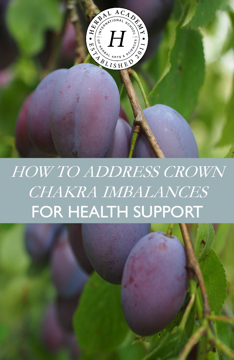 How To Address Crown Chakra Imbalances For Health Support | Herbal Academy | In today's post, we are addressing crown chakra imbalances. Learn how to heal an imbalance with foods, herbs, and essential oils!