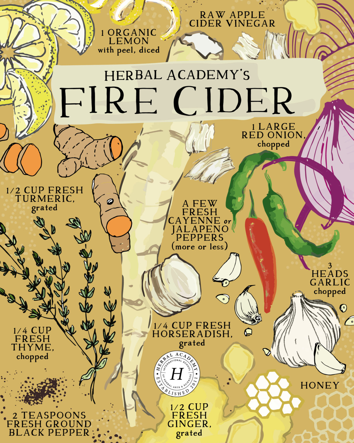 How To Make Homemade Fire Cider (With Video!) Herbal Academy