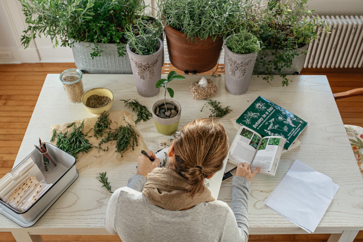 Herbal Academy Herbal Materia Medica Course