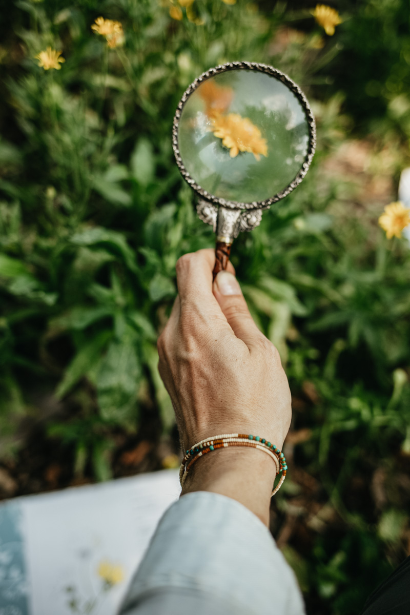 中药学院中药药物学课程——研究草药医术学初学者