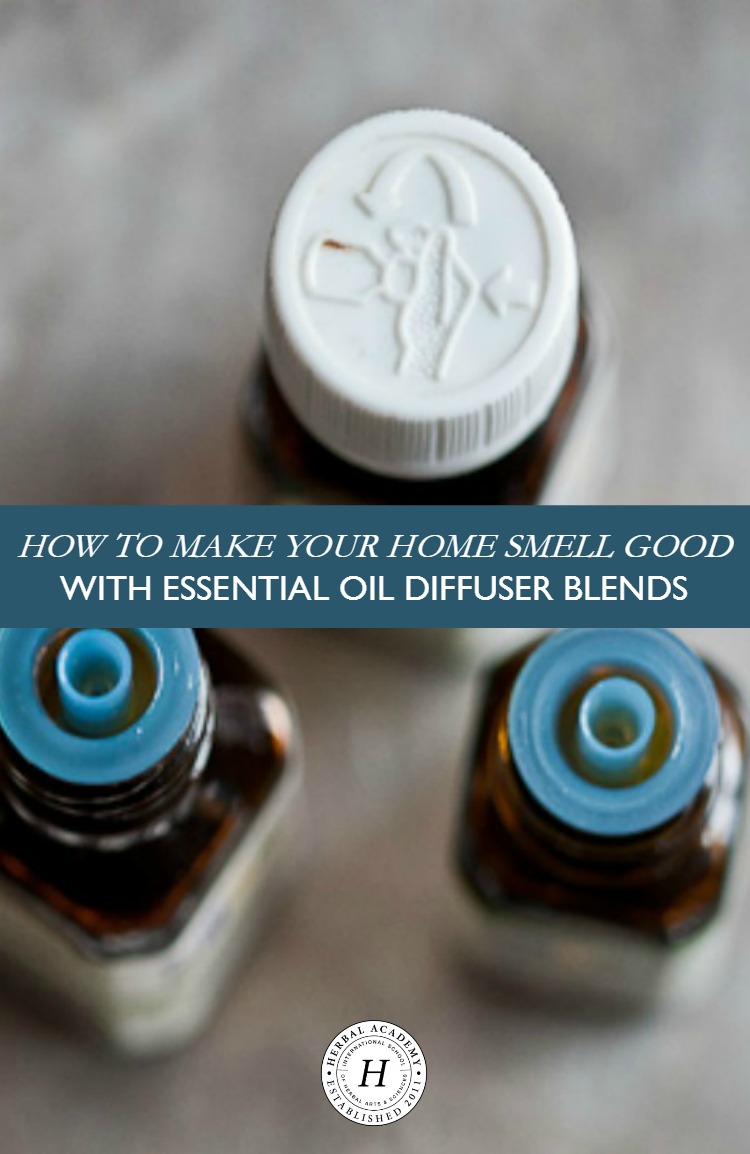 How To Make Your Home Smell Good With Essential Oil Diffuser Blends | Herbal Academy | Aromatic herbs and essential oils can create a homey atmosphere for your family to enjoy. Make your home smell good with essential oil diffuser blends!