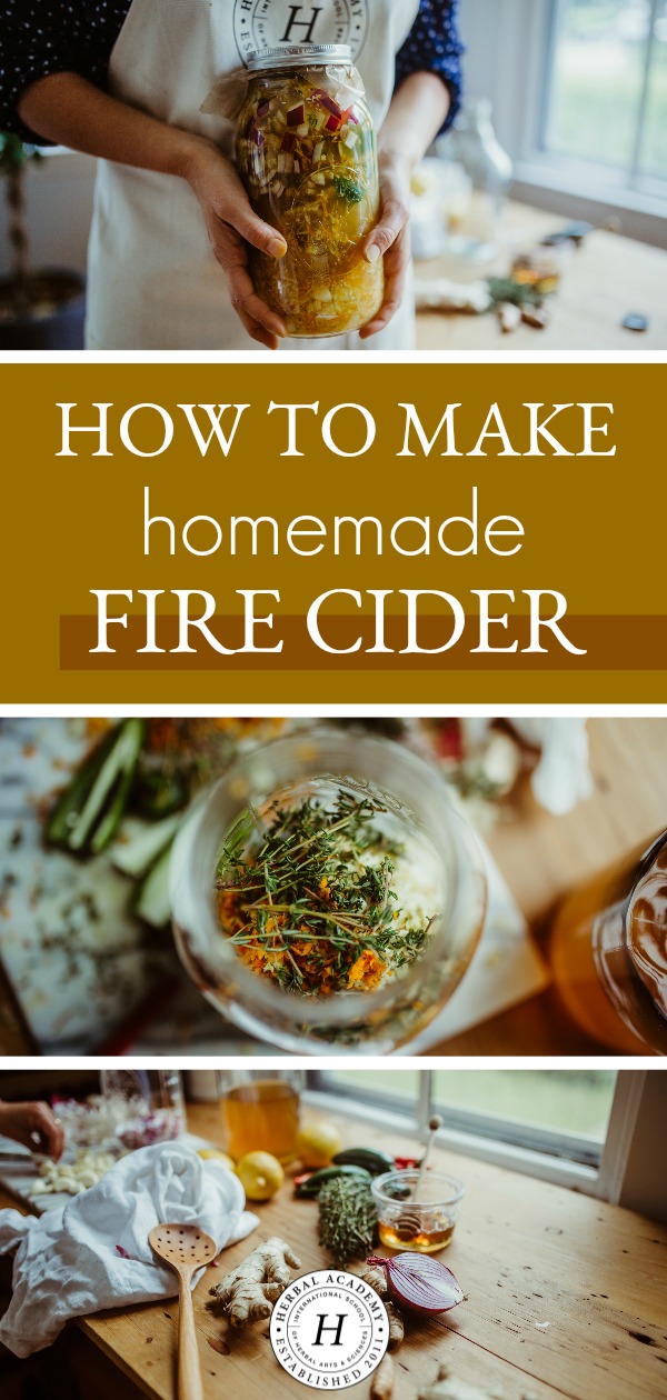 How To Make Homemade Fire Cider | Herbal Academy | 'Tis the season to make homemade fire cider! A shot glass of this a day is a great defense against colds and flu, and it also acts as a decongestant!