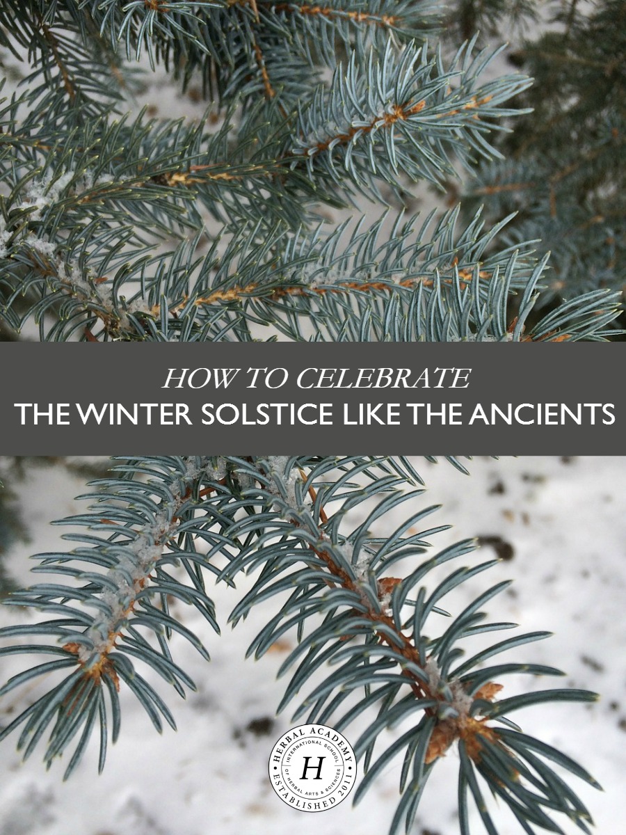 How To Celebrate The Winter Solstice Like The Ancients | Herbal Academy | The winter solstice is an astronomical event that has been celebrated since ancient times. We have several great ideas to help you celebrate!