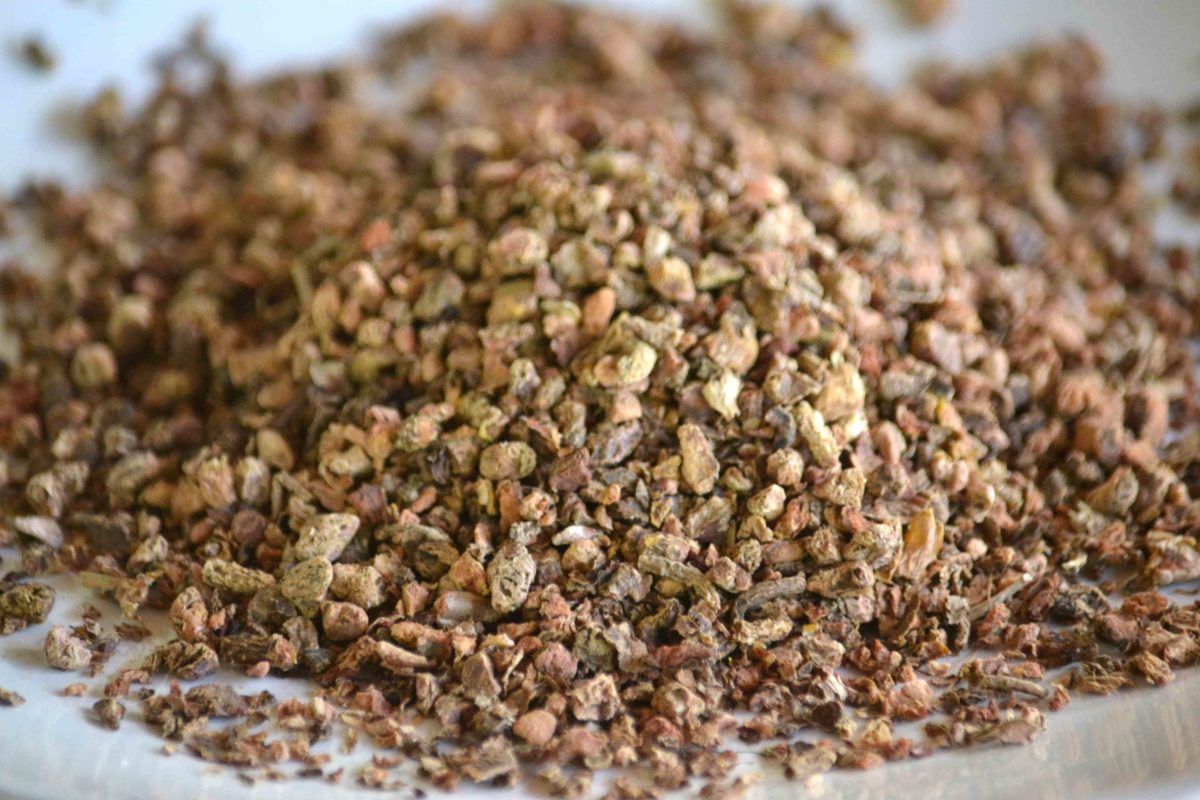 rhodiola adaptogen herb