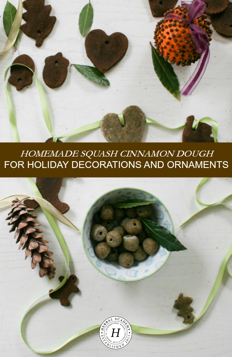 Homemade Squash Cinnamon Dough for Holiday Decorations and Ornaments | Herbal Academy | Tis the season for decorating Christmas trees and giving gifts! These DIY squash cinnamon dough decorations are a great fit!