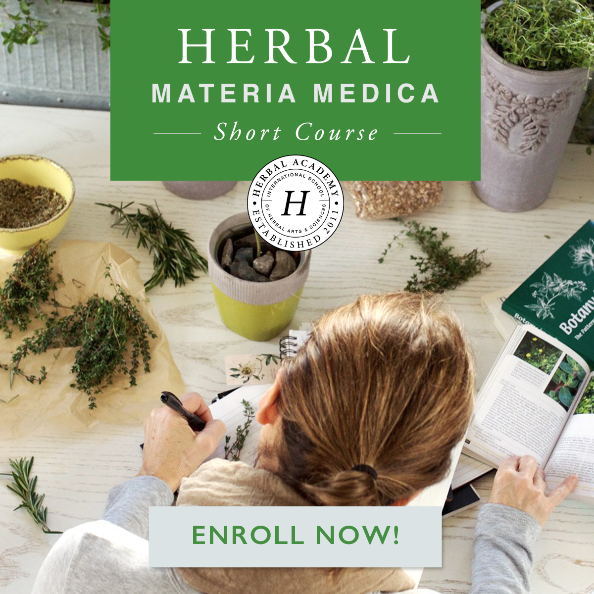How To Create An Herbal Materia Medica (Free E-Course) | Herbal Academy | One part of learning to be an herbalist is learning about the herbs themselves. Our new Herbal Materia Medica Course can help make learning one herb at a time much easier. Check it out today!