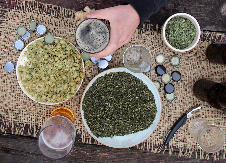 The Craft of Herbal Fermentation Short Course by the Herbal Academy