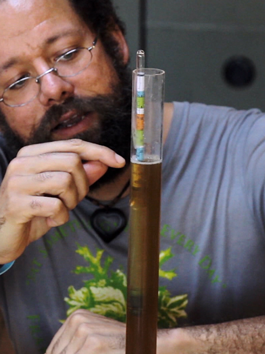 Making Mead – The Craft of Herbal Fermentation Course by Herbal Academy
