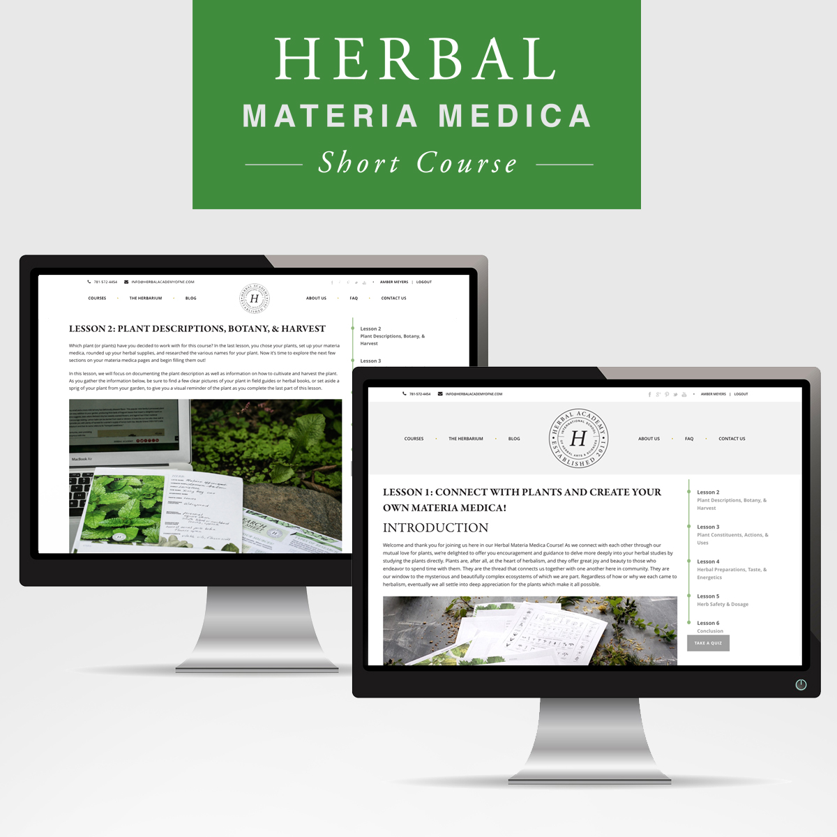 Gathering Supplies for your Herbal Materia Medica | Herbal Academy | Learn what supplies you should have on hand when creating your herbal materia medica right here!