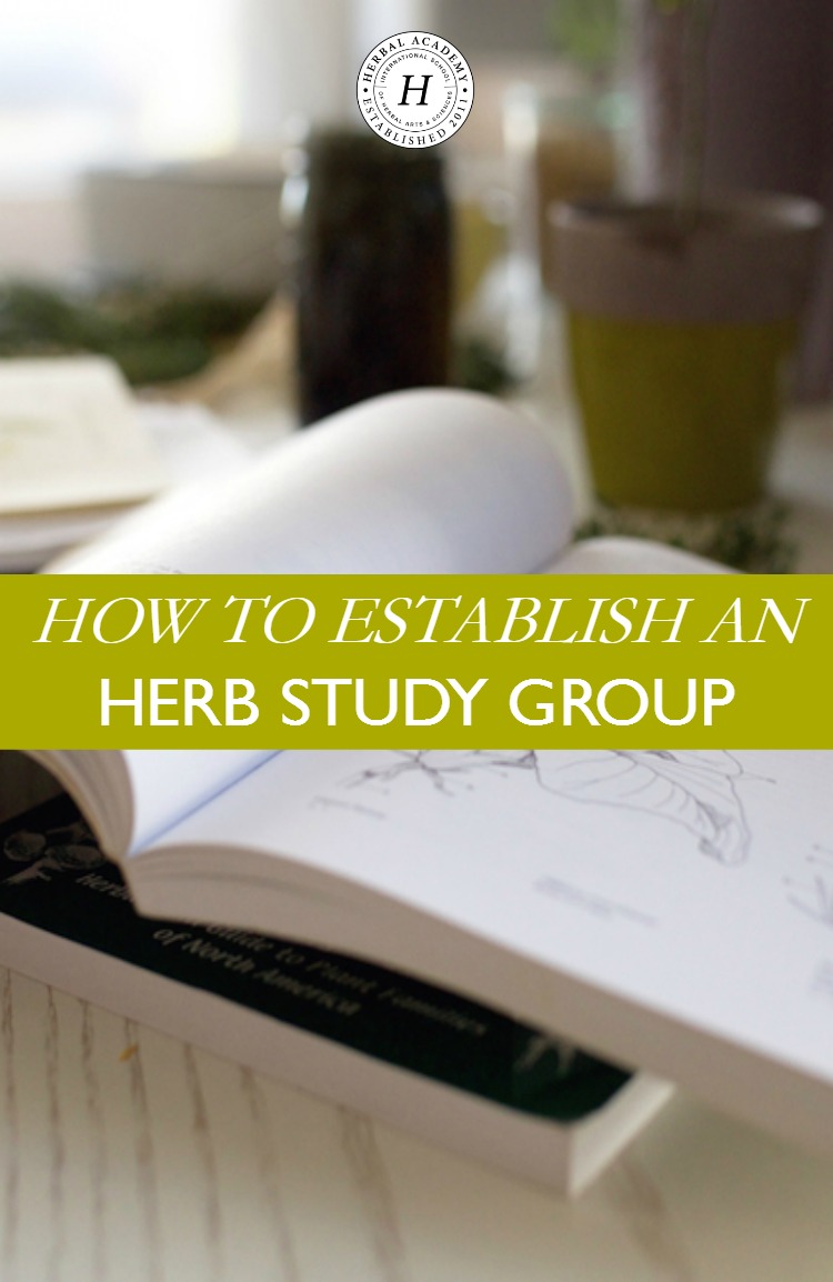 How To Establish An Herb Study Group | Herbal Academy | If you are a solitary herbal student, you may be missing the whole social aspect of herbalism. Let us teach you how to expand your horizons by establishing an herb study group!