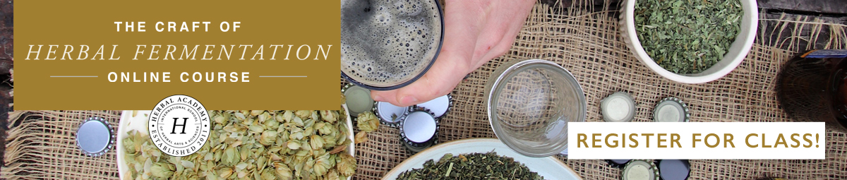 The Craft of Herbal Fermentation Course by Herbal Academy