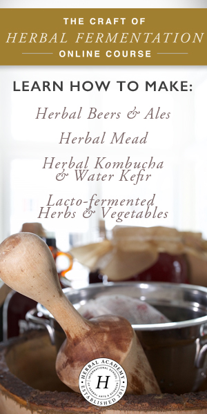 The Craft of Herbal Fermentation Course by Herbal Academy
