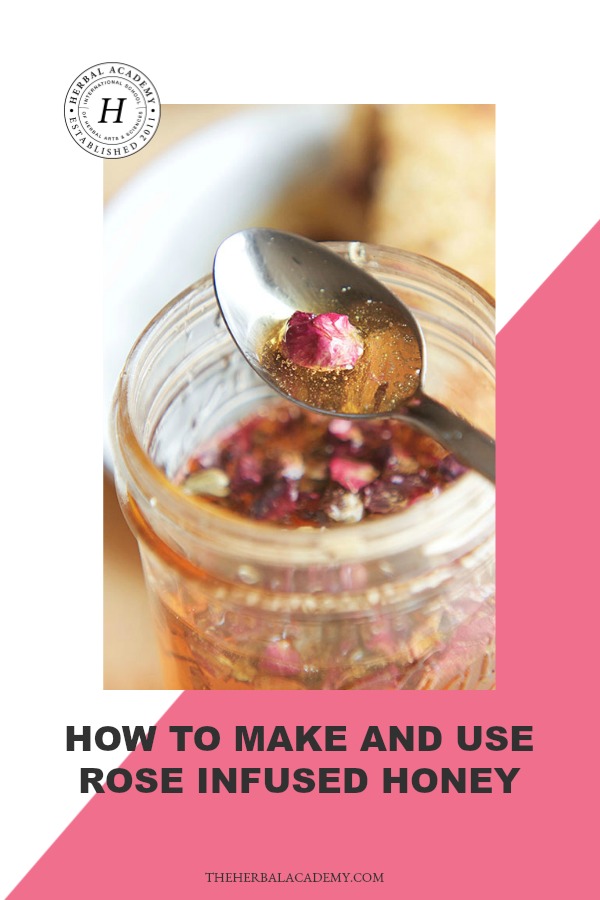 How to Make and Use Rose Infused Honey | Herbal Academy | Roses offer extraordinary benefits to the body and spirit. Here's how to make and use rose infused honey for your good health!