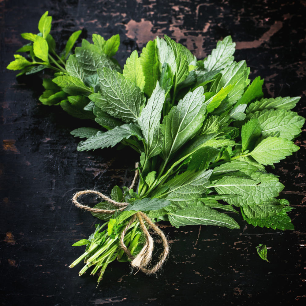 Cooling Cucumber Mint Limeade For Hot Summer Days | Herbal Academy |Stay hydrated this summer with this cooling Cucumber Mint Limeade! Using just three ingredients, this is a summer recipe that your family will love!