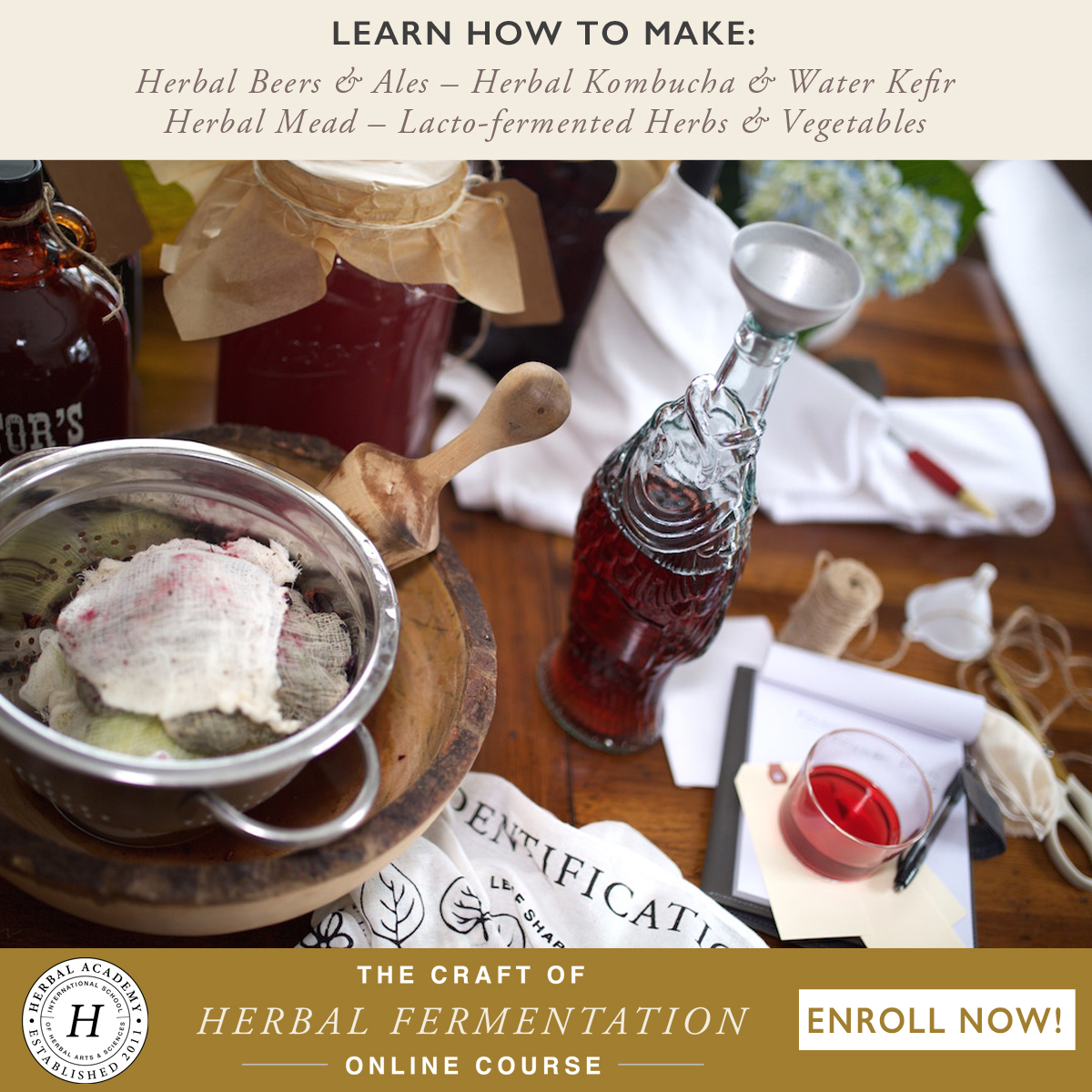 Now Enrolling: The Craft of Herbal Fermentation | Herbal Academy | Join us in our newest short course. Learn to make herbal beer, mead, and wine, herbal kombucha and water kefir, and lacto-fermented foods!