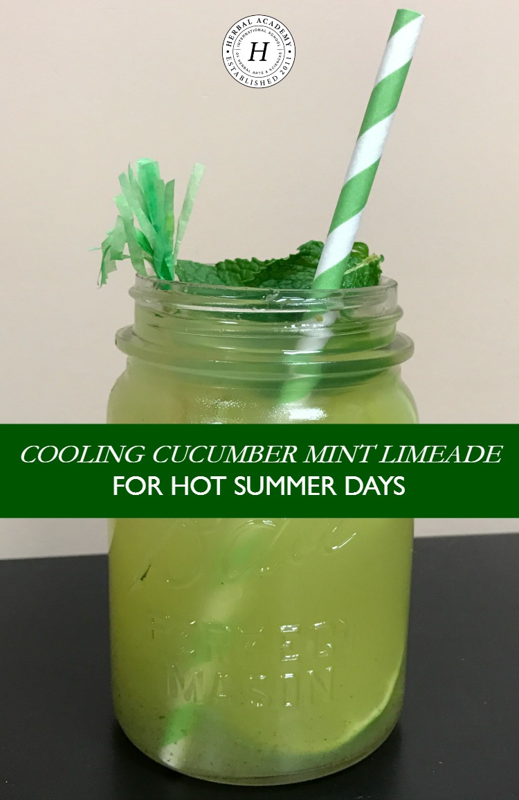 Cooling Cucumber Mint Limeade For Hot Summer Days | Herbal Academy |Stay hydrated this summer with this cooling Cucumber Mint Limeade! Using just three ingredients, this is a summer recipe that your family will love!