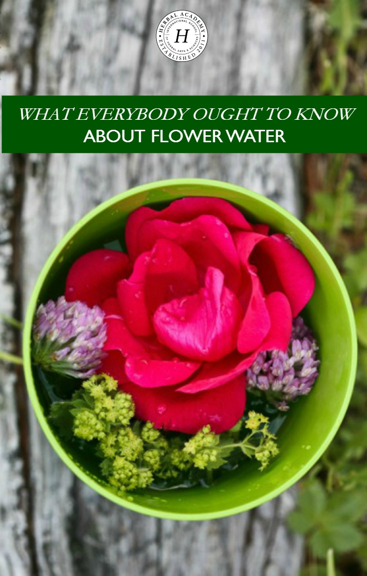 What Everybody Ought To Know About Flower Water | Herbal Academy |Do you know flower water is safer to use than essential oils and has a broad range of applications? Here's how to make it! 
