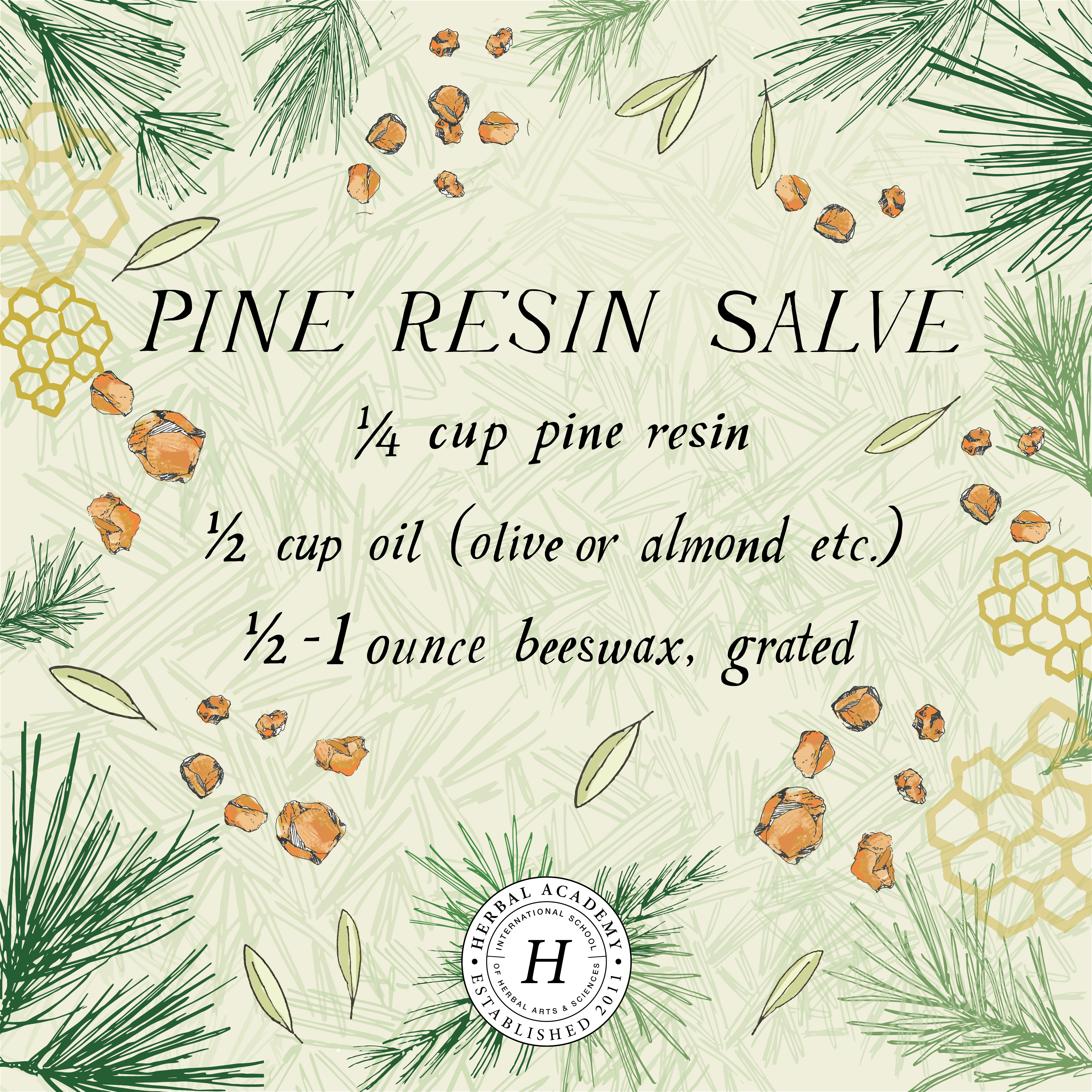 How To Make Pine Resin Salve | Herbal Academy | Did you know pine resin has been used historically for topical wound care? Learn how to make pine resin salve for your first aid kit!