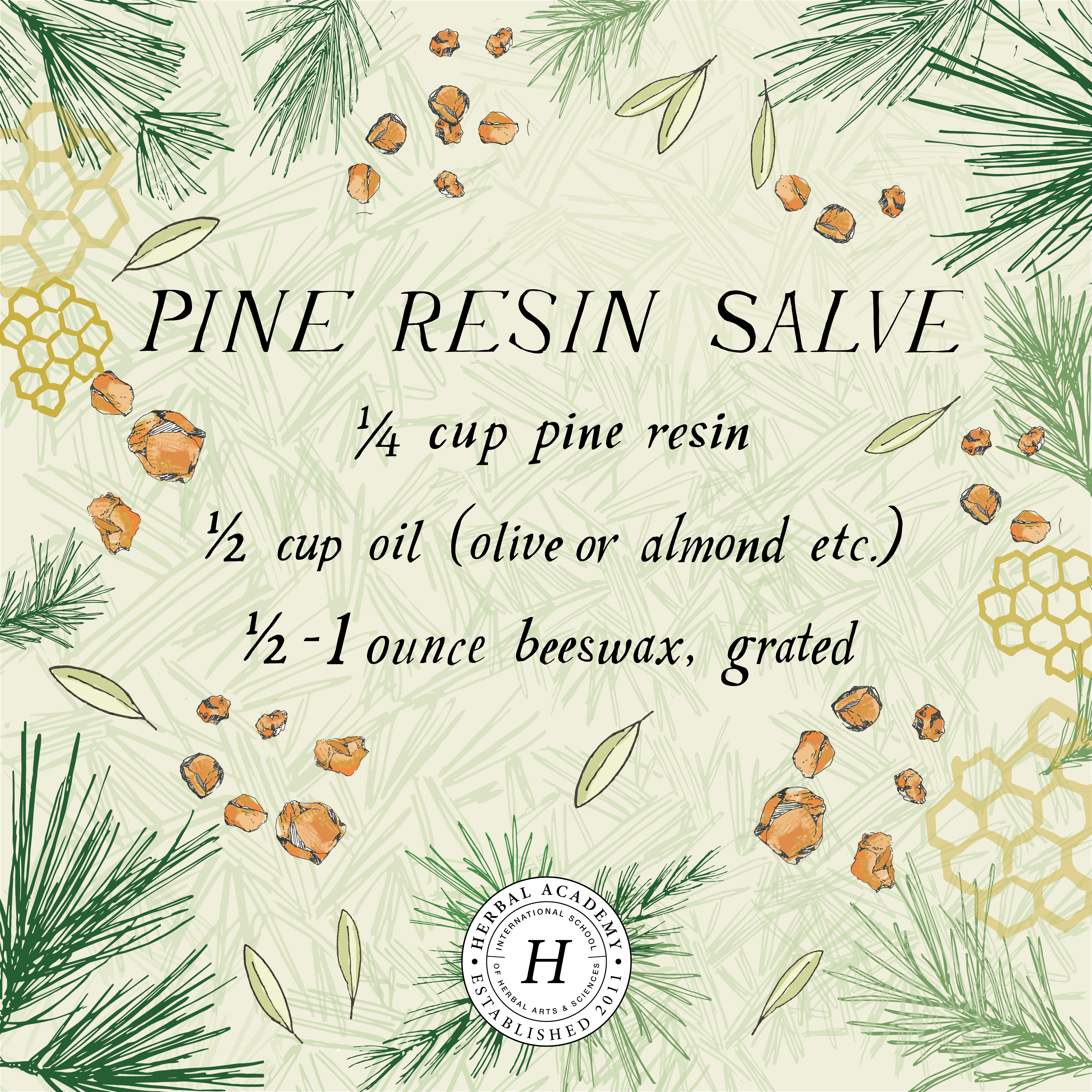 How to Make Piñon Pine Resin Salve