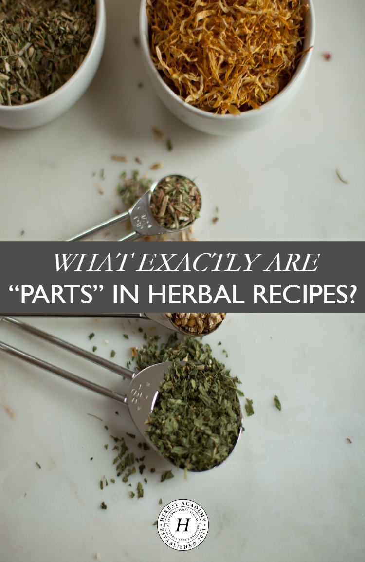 What Exactly Are “Parts” in Herbal Recipes? | Herbal Academy | Using parts in herbal recipes as a measurement really is a simple way to enjoy herbs, allowing for flexibility and ease in herbal crafting!