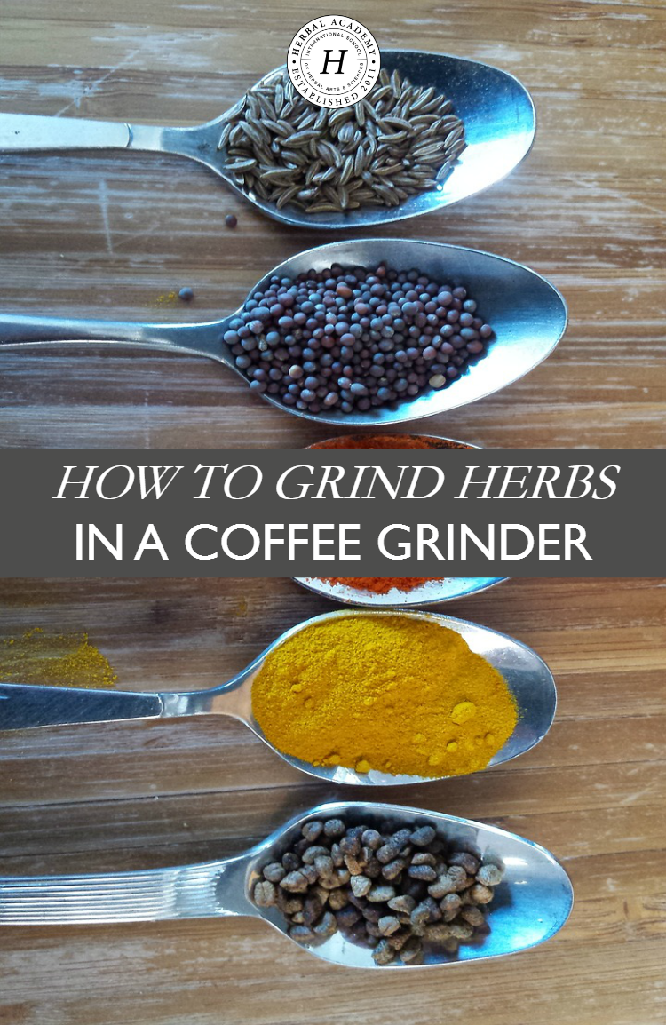 How To Grind Herbs In A Coffee Grinder | Herbal Academy | Do you know grinding herbs makes it easier for the medicinal properties to be extracted when making herbal preparations? Here's how to easily grind herbs in a coffee grinder!