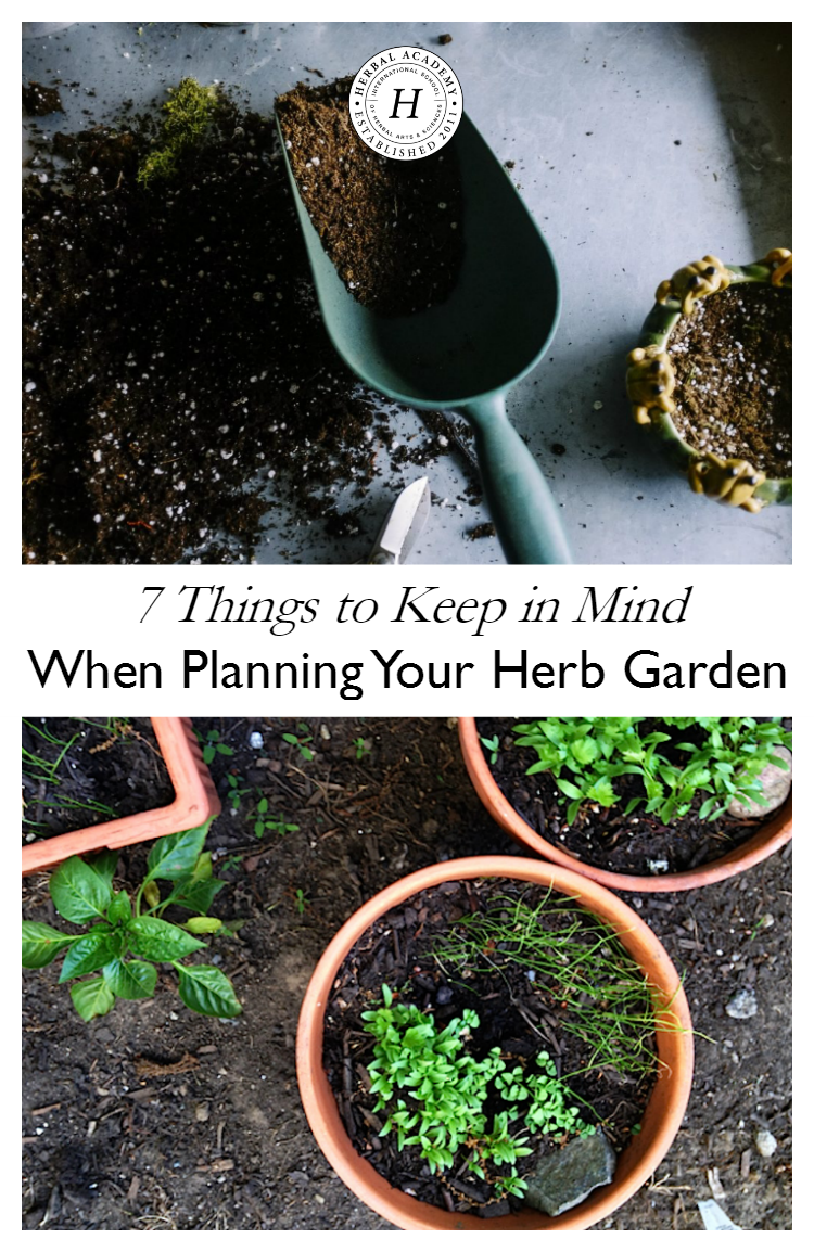 7 Things to Keep in Mind When Planning Your Herb Garden | Herbal Academy | Keep these things in mind when planning your herb garden. Herb gardens are a wonderful way to use fresh herbs when cooking and making home remedies!